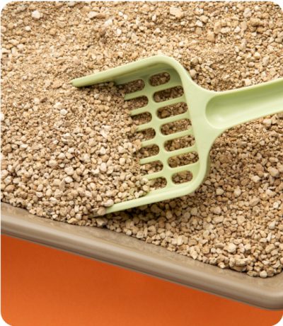 Arena para gatos (10 L)