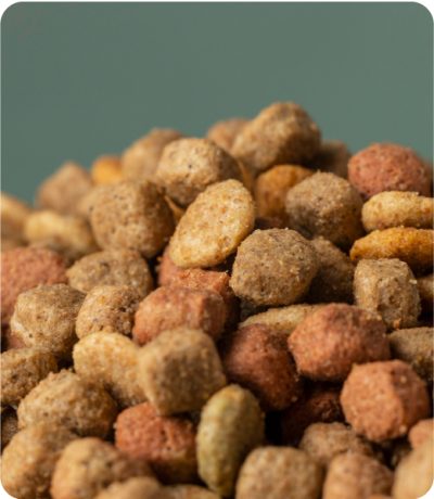 Pienso para perros adultos (10 kg)