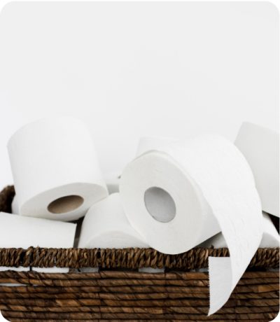 Papel higiénico  (paquete de 12 rollos)