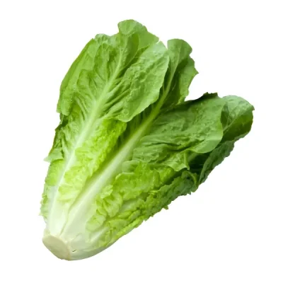Lechuga Pieza