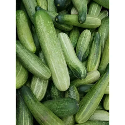 Pepino 1kg